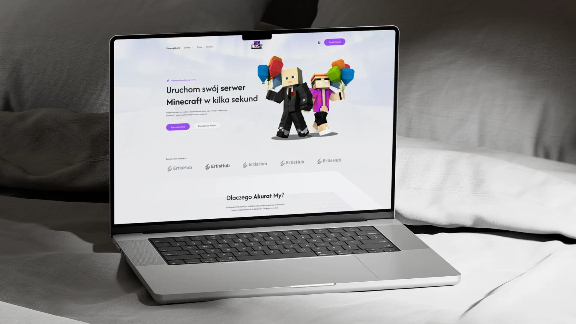ScHost, strona internetowa dla: Hosting